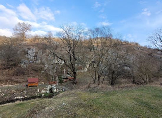 romania/mehedinti/attraction/pestera-sfodea