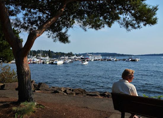 washington/kirkland/attraction/kirkland-city-dock