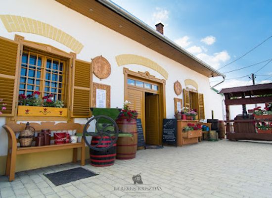 hungary/mecsek/attraction/villanyi-bormuzeum-es-gal-pince