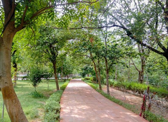 india/agra/attraction/paliwal-park
