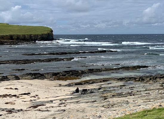 united-kingdom/orkney/attraction/rspb-birsay-moors