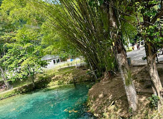 jamaica/north-coast/attraction/spanish-bridge-river-jamaica