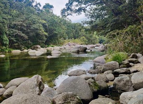 australia/far-north-queensland/attraction/mossman-gorge