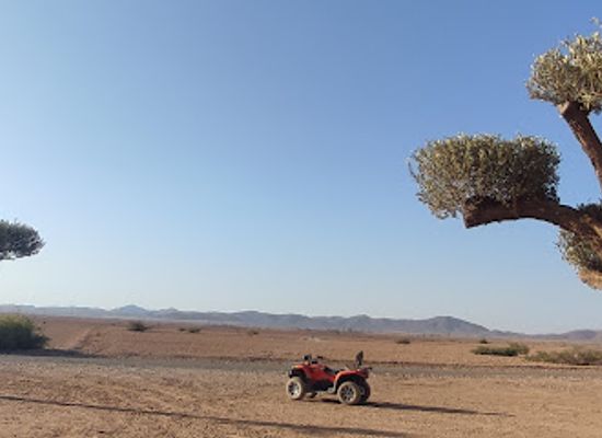 morocco/marrakech/hivernage/attraction/tbm-the-beautiful-marrakech