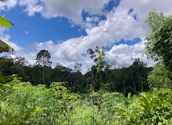 cambodia/mondulkiri/attraction/jahoo