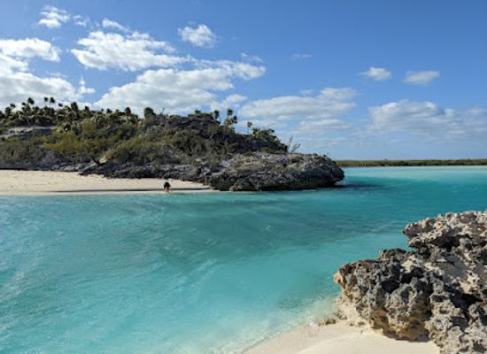 the-bahamas/exuma/attraction/exuma-cays-land-and-sea-park-visitor-center