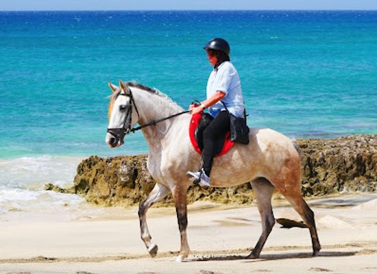 cabo-verde/sal/attraction/santa-marilha-horse-excursions