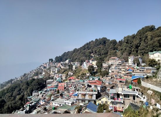 india/darjeeling/mall-road/attraction/padmaja-naidu-himalayan-zoological-park