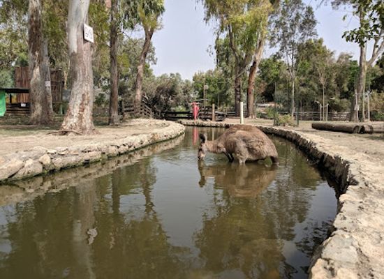 israel/northern-district/attraction/gan-garoo-zoo