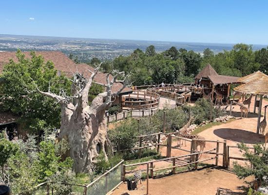 colorado/colorado-springs/attraction/cheyenne-mountain-zoo