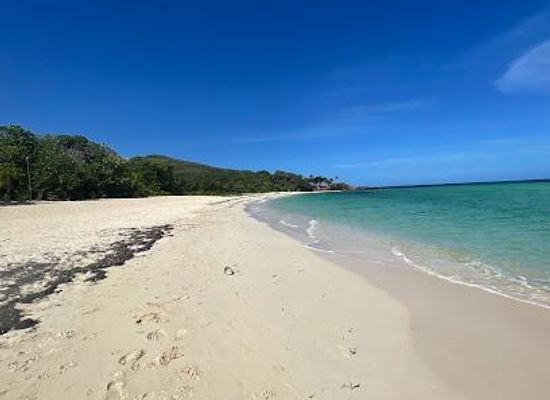 honduras/colon-region/attraction/camp-bay-beach
