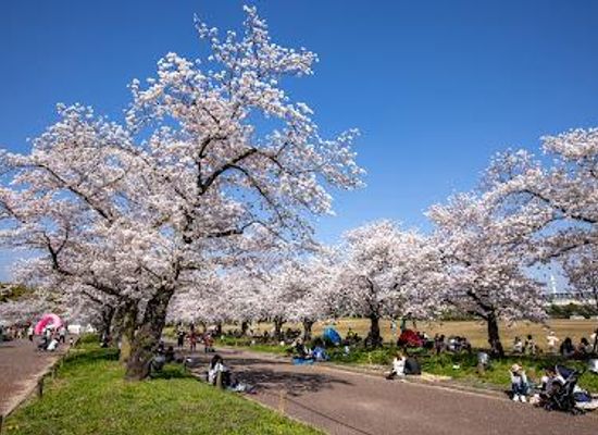 japan/kyoto/attraction/expo-70-commemorative-park