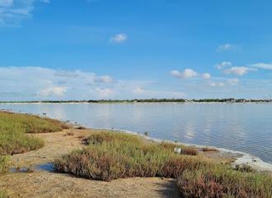 senegal/dakar/attraction/lake-retba
