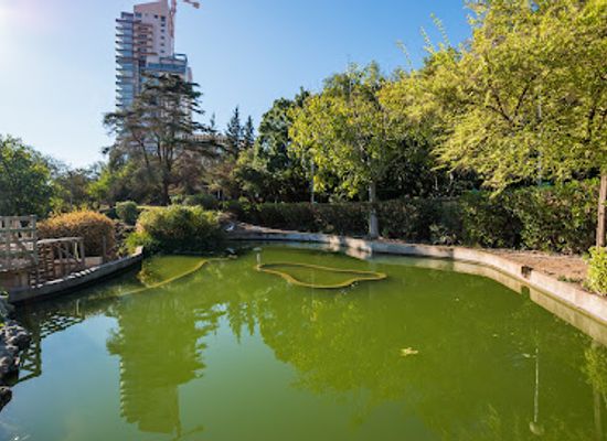 lebanon/baabda/attraction/sioufi-park