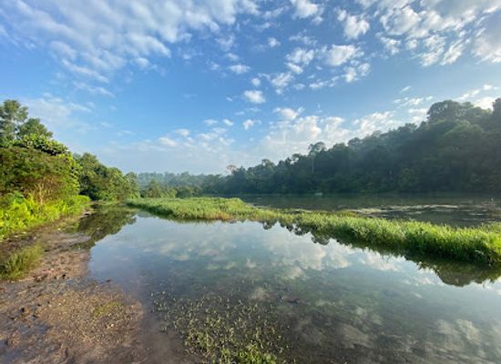 singapore/west-region/attraction/pcn-lornie-nature-corridor