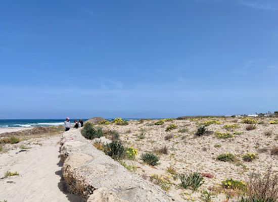 israel/sharon-plain/attraction/alexander-river-national-park