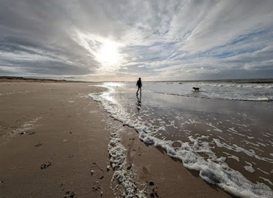 france/pays-de-la-loire/attraction/plage-du-midi