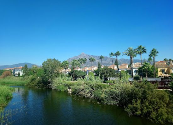 spain/marbella/attraction/villa-romana-de-rio-verde
