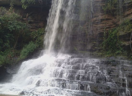 ghana/sunyani/attraction/bomfobiri-wildlife-sanctuary-hq