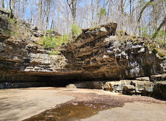 tennessee/northern-middle-tennessee/attraction/dunbar-cave-state-park