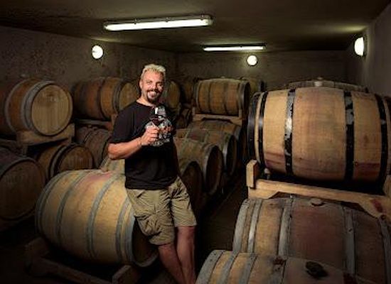croatia/pula/attraction/wine-station-trapan
