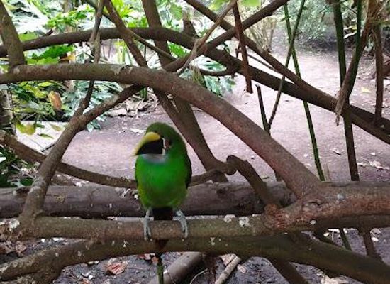 colombia/bogota/attraction/bioparque-la-reserva