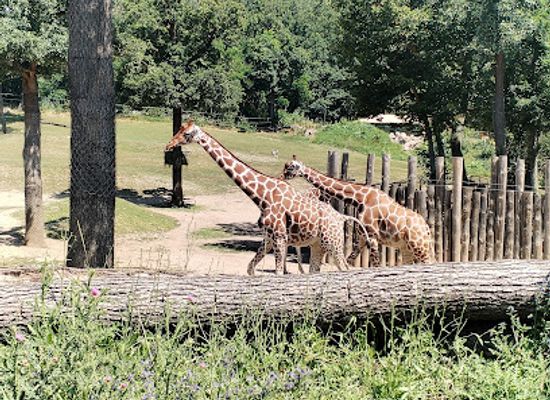 czechia/moravia/attraction/brno-zoo