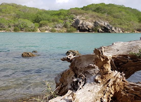 curacao/sint-michiel/attraction/sint-michiel-bay-nature-trail