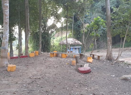 india/itanagar/attraction/goya-picnic-park