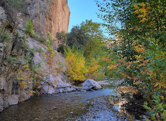 new-mexico/gila-national-forest/attraction/catwalk-recreation-area