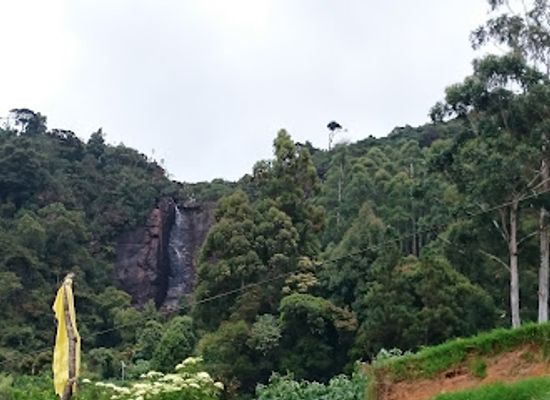 sri-lanka/nuwara-eliya-district/attraction/piduruthalagala-conservation-forest