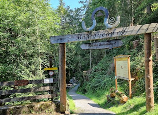 austria/alpbachtal/attraction/muhlbachweg