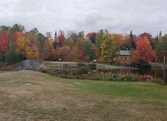 vermont/caledonia-county/attraction/miles-pond-public-beach