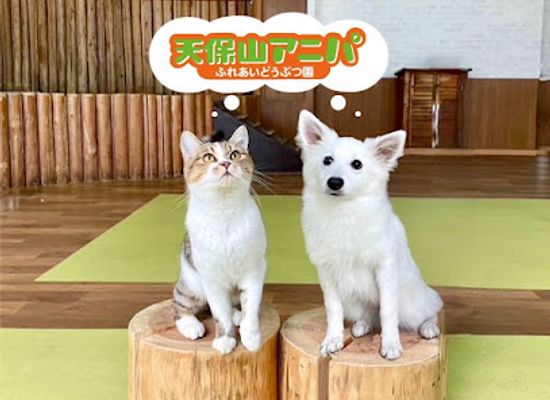 japan/kinki-kansai/attraction/tenpozan-anipa