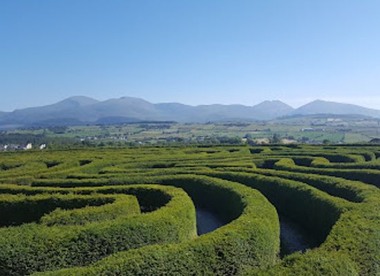 ireland/mourne-mountains/attraction/the-peace-maze
