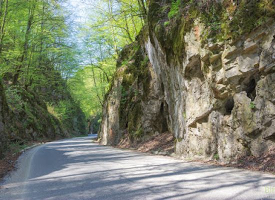 romania/bihor/attraction/cheile-albioarei