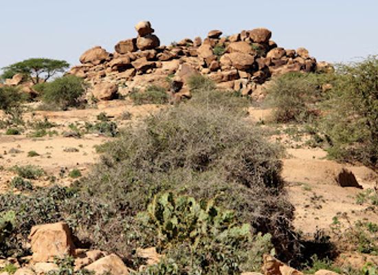 somalia/togdheer/attraction/las-geel-ancient-rock-paintings