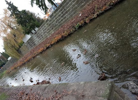 hungary/eger/attraction/vadkacsa-kolonia