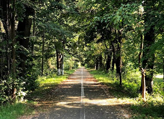 romania/bacau/attraction/parcul-gheraiesti