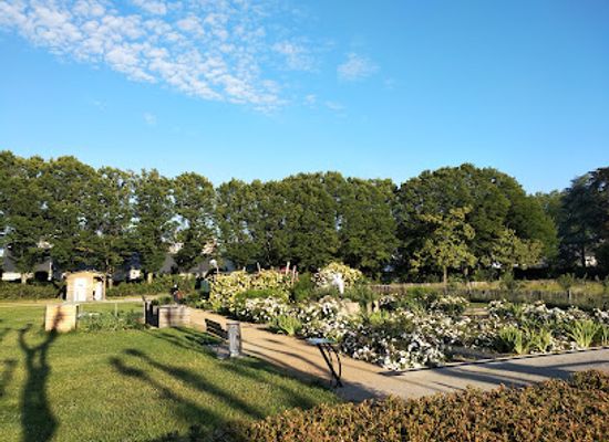 france/angers/attraction/jardin-de-la-roseraie