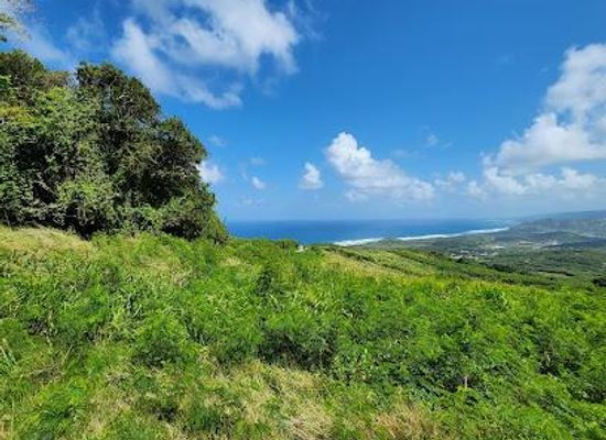 barbados/rockley/attraction/cherry-tree-hill
