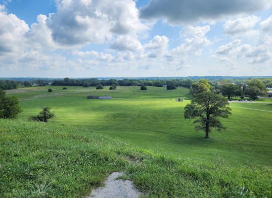 illinois/prairie-state/attraction/cahokia-mounds-state-historic-site