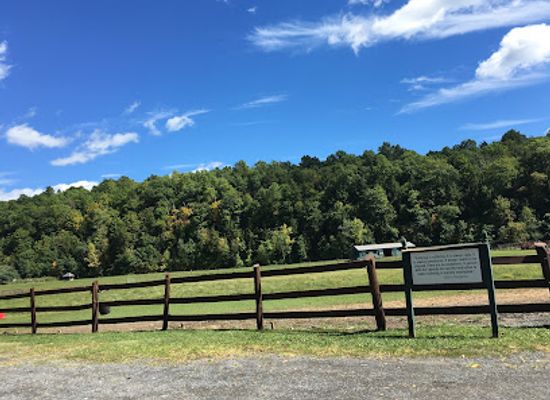 new-york/catskill-mountains/attraction/catskill-animal-sanctuary