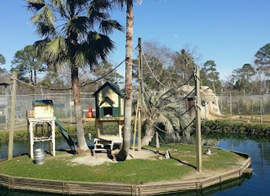 alabama/orange-beach/attraction/alabama-gulf-coast-zoo