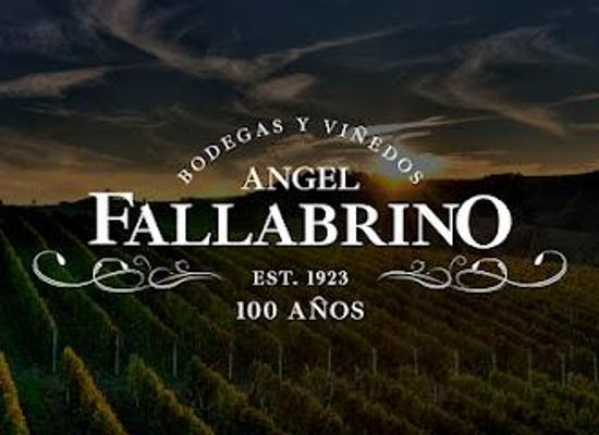 uruguay/montevideo-coast/attraction/bodega-angel-fallabrino