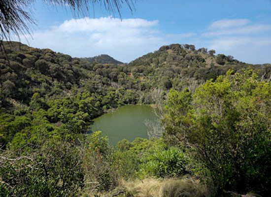 australia/eastern-victoria/attraction/tower-hill-wildlife-reserve