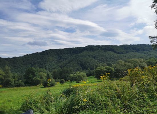 poland/bieszczady-mountains/attraction/reserve-sine-wiry