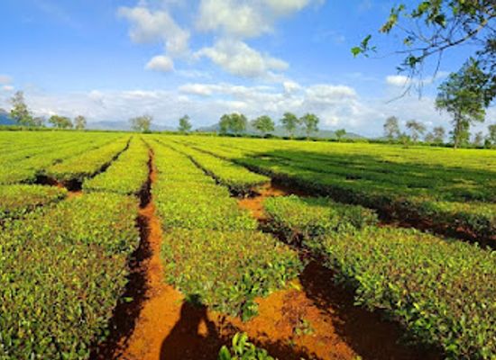 vietnam/central-highlands/attraction/bie-n-ho-che