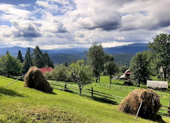 ukraine/hoverla-mountain/attraction/hora-proshchukiv