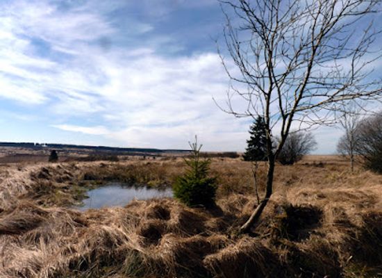 belgium/fagne-famenne/attraction/high-fens